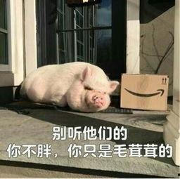 娱乐吃瓜酱猪猪视频,揭秘热门视频背后的趣味故事