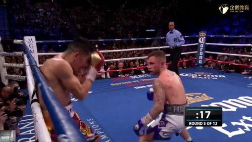 吃瓜娱乐拳击比赛直播视频,直播盛宴，精彩瞬间回顾