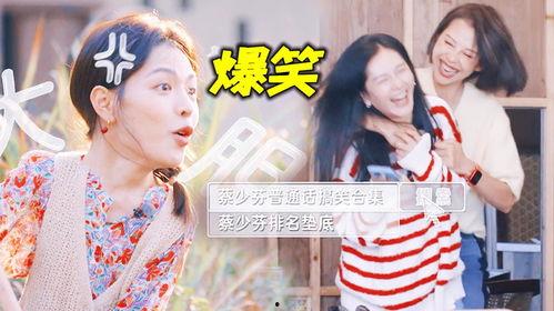 娱乐吃瓜明星团宠小说推荐