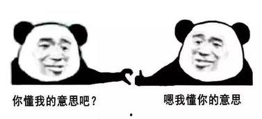 好哥吃瓜娱乐,揭秘娱乐圈幕后故事