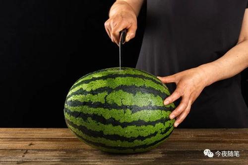 梅梅娱乐吃瓜,揭秘娱乐圈最新吃瓜事件，带你领略明星幕后故事