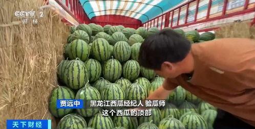 娱乐吃瓜君小麦,揭秘娱乐圈那些不为人知的幕后故事