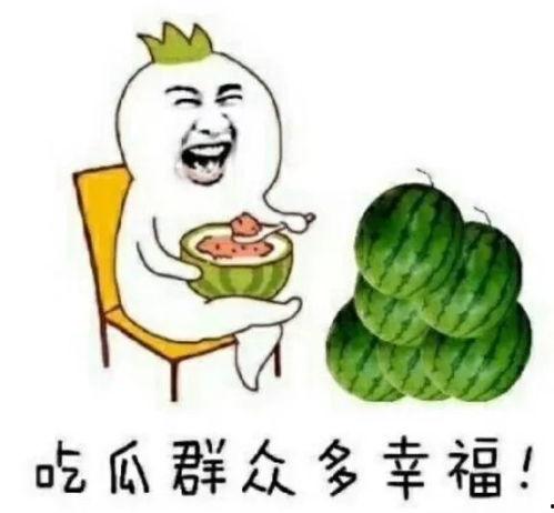 吃瓜娱乐计算机,揭秘娱乐圈背后的故事与真相